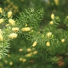 Botanischer Garten Tübingen 02.03.2014