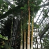 Botanischer Garten Tübingen 02.03.2014
