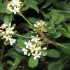 Botanischer Garten Tübingen 02.03.2014