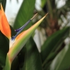 Botanischer Garten Tübingen 02.03.2014