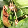 Botanischer Garten Tübingen 02.03.2014