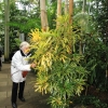 Botanischer Garten Tübingen 02.03.2014