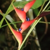 Botanischer Garten Tübingen 02.03.2014