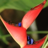 Botanischer Garten Tübingen 02.03.2014
