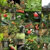 Botanischer Garten Tübingen 02.03.2014