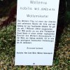 Botanischer Garten Tübingen 09.07.2017