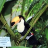 Botanischer Garten Tübingen 09.07.2017