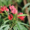 Botanischer Garten Tübingen 09.07.2017