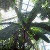 Botanischer Garten Tübingen 11.06.2017
