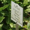 Botanischer Garten Tübingen 17.05.2015