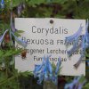 Botanischer Garten Tübingen 17.05.2015
