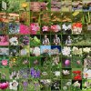 Botanischer Garten Tübingen 17.05.2015