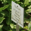 Botanischer Garten Tübingen 17.05.2015