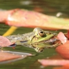 Botanischer Garten Tübingen 17.05.2015