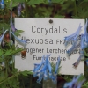 Botanischer Garten Tübingen 17.05.2015