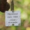 Botanischer Garten Tübingen 17.05.2015