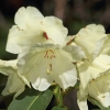 Botanischer Garten Tübingen 17.05.2015