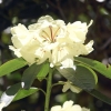 Botanischer Garten Tübingen 17.05.2015