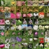 Botanischer Garten Tübingen 17.05.2015