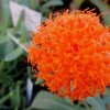 Botanischer Garten Tübingen 22.11.2015