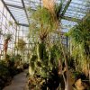 Botanischer Garten Tübingen 22.11.2015