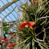 Botanischer Garten Tübingen 22.11.2015