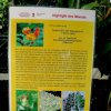 Botanischer Garten Tübingen 22.11.2015