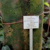 Botanischer Garten Tübingen 22.11.2015