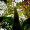 Botanischer Garten Tübingen 22.11.2015
