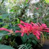 Botanischer Garten Tübingen 22.11.2015