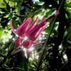 Botanischer Garten Tübingen 22.11.2015