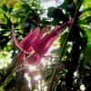 Botanischer Garten Tübingen 22.11.2015