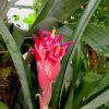 Botanischer Garten Tübingen 22.11.2015
