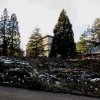 Botanischer Garten Tübingen 22.11.2015
