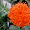 Botanischer Garten Tübingen 22.11.2015