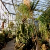 Botanischer Garten Tübingen 22.11.2015