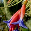 Botanischer Garten Tübingen 22.11.2015