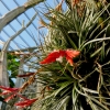 Botanischer Garten Tübingen 22.11.2015