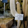Botanischer Garten Tübingen 22.11.2015
