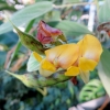 Botanischer Garten Tübingen 22.11.2015
