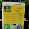 Botanischer Garten Tübingen 22.11.2015