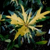 Botanischer Garten Tübingen 22.11.2015