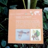 Botanischer Garten Tübingen 22.11.2015