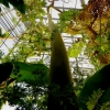 Botanischer Garten Tübingen 22.11.2015