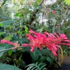 Botanischer Garten Tübingen 22.11.2015