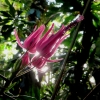 Botanischer Garten Tübingen 22.11.2015