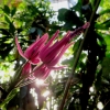 Botanischer Garten Tübingen 22.11.2015