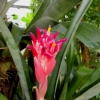 Botanischer Garten Tübingen 22.11.2015