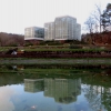 Botanischer Garten Tübingen 22.11.2015