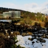 Botanischer Garten Tübingen 22.11.2015
